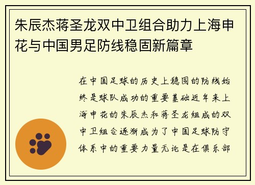 朱辰杰蒋圣龙双中卫组合助力上海申花与中国男足防线稳固新篇章