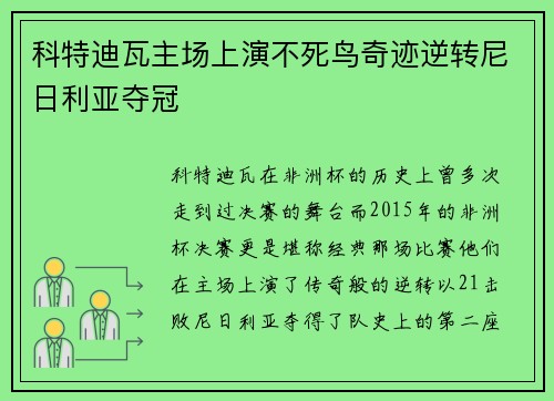 科特迪瓦主场上演不死鸟奇迹逆转尼日利亚夺冠